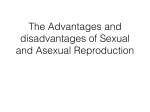 Advantages/ Disadvantages of Sexual/Asexual reproduction