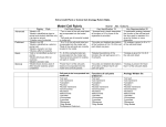 Model Cell Rubric