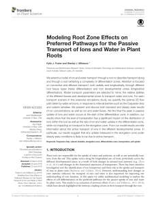 Modeling Root Zone Effects on Preferred Pathways for the Passive