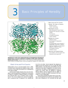 Basic Principles of Heredity