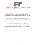 PDF Format - American Angus Association