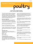 The Process of Egg Formation - Purdue Extension