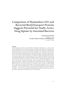 Comparison of Mammalian LAT1 and Bacterial BrnQ Transport