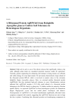 A Ribosomal Protein AgRPS3aE from Halophilic Aspergillus