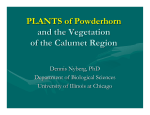 Plants Of Powderhorn And The Vegetation Of The Calumet Region