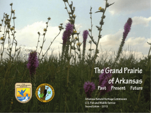 The Grand Prairie of Arkansas - Arkansas Natural Heritage