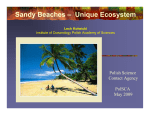 Sandy Beaches – Unique Ecosystem