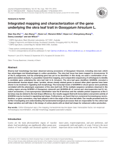 Integrated mapping and characterization of the gene underlying the