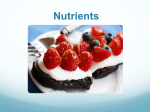 Nutrition and You