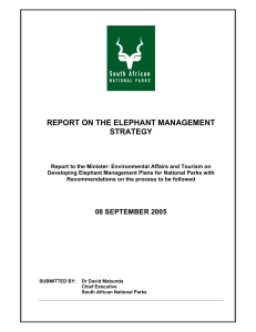 report on the elephant management strategy