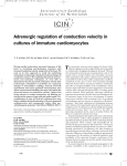 Adrenergic regulation of conduction velocity in cultures of immature