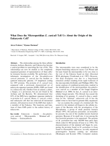 What Does the Microsporidian E. cuniculi Tell Us About the Origin of