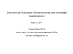 Structure and functions of chromosomes and chromatin