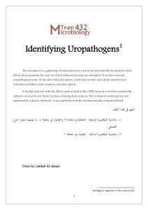 Identifying Uropathogens