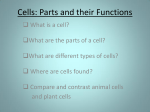 Cells - Haiku