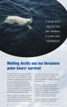 Melting Arctic sea ice threatens polar bears` survival