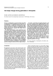 Cell shape changes during gastrulation in