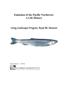 Eulachon of the Pacific Northwest