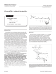 ChromaTide ® Labeled Nucleotides