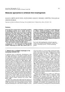 Molecular approaches to vertebrate limb