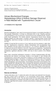 Urinary Biochemical Changes, Histopatologic Effect of