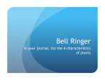 Bell Ringer