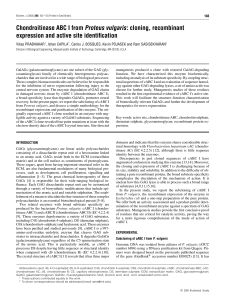 Chondroitinase ABC I from Proteus vulgaris: cloning, recombinant