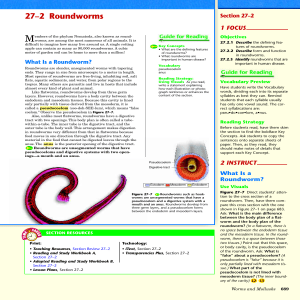 27–2 Roundworms