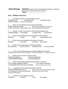 Digestive System Worksheets