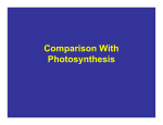 Comparison With Photosynthesis