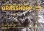 grasshopper handbook