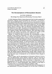 The Chromatophores of Photosynthetic Bacteria