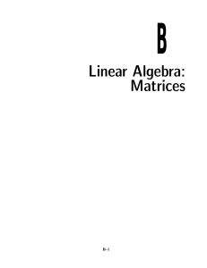 B Linear Algebra: Matrices