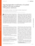 Signaling-dependent immobilization of acylated proteins in the inner