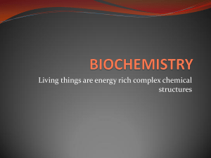 Living things are energy rich complex chemical structures