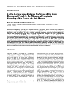 Cell-to-Cell and Long-Distance Trafficking of the Green Fluorescent