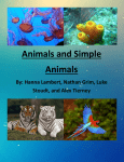 Animals and Simple Animals