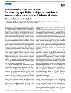 Synthesizing specificity: multiple approaches to understanding the