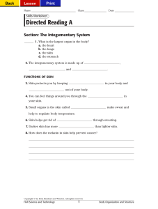 Directed Reading: Integumentary System