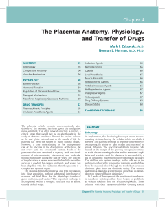 The Placenta: Anatomy, Physiology, and Transfer of Drugs