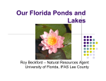 Our Florida Ponds and Lakes - Lee County Extension