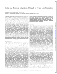 Spatial and Temporal Integration of Signals in Foveal Line Orientation