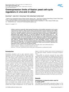 Overexpression limits of fission yeast cell‐cycle regulators in vivo