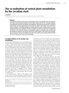 The co-ordination of central plant metabolism by the circadian clock