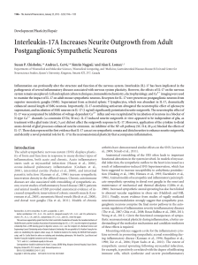 Interleukin-17A Increases Neurite Outgrowth from Adult