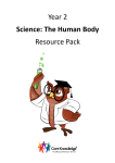 Year 2 Science: The Human Body Resource Pack