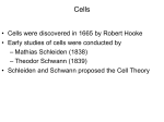 • Cells were discovered in 1665 by Robert Hooke • Early studies of