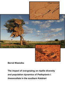 The impact of overgrazing on reptile diversity and