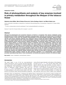 Role of photosynthesis and analysis of key enzymes involved in