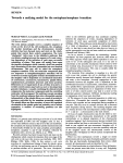 Towards a unifying model for the metaphase